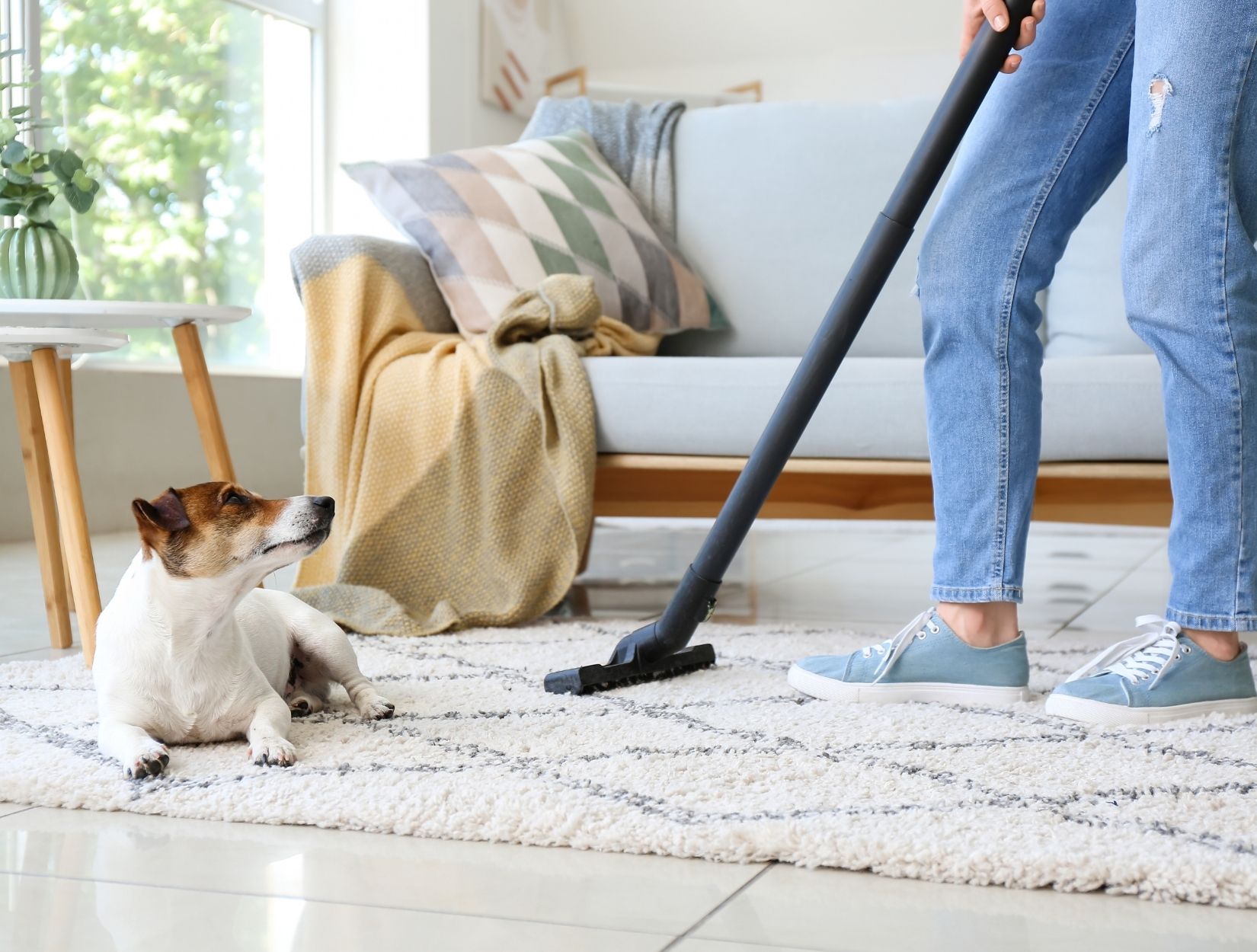 North County San Diego House Cleaning Experts Since 1995